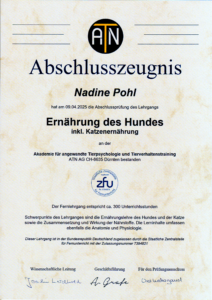 atn abschlusszeugnis
