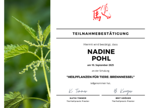 heilpflanzen brennessel