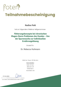 screenshot 2026 03 12 at 16.16.11