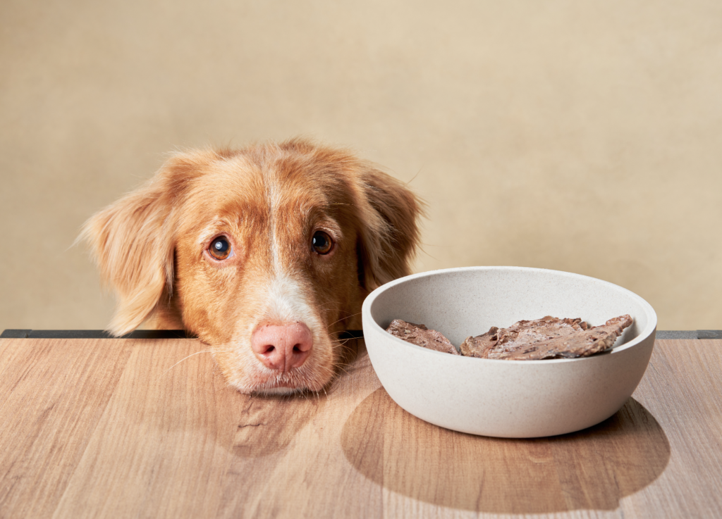 screenshot 2026 04 03 at 17.39.51